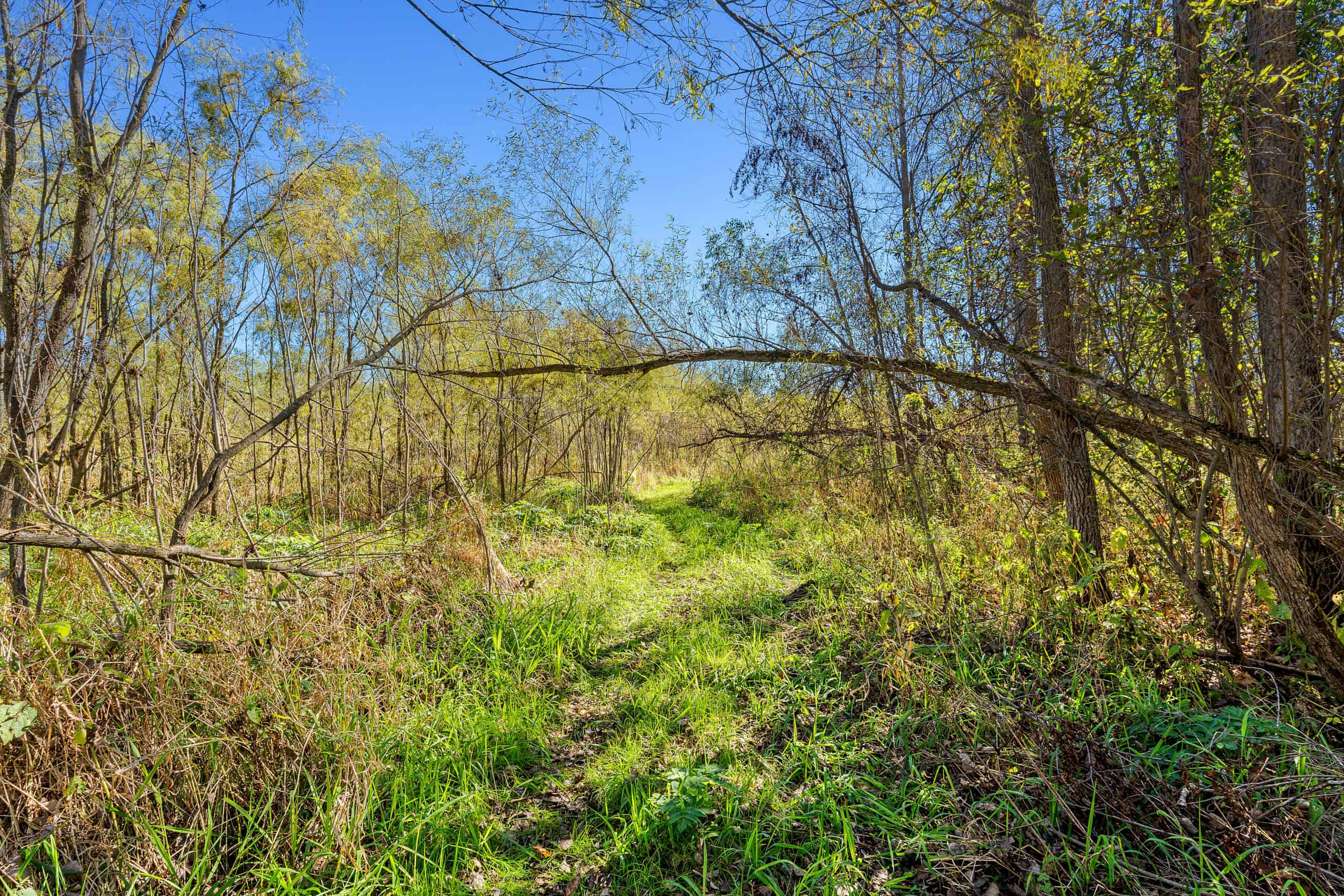 Trempealeau County Riverfront Hunting Land for Sale