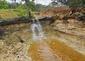 44.574 Acres of Central Texas Hunting Land for Sale