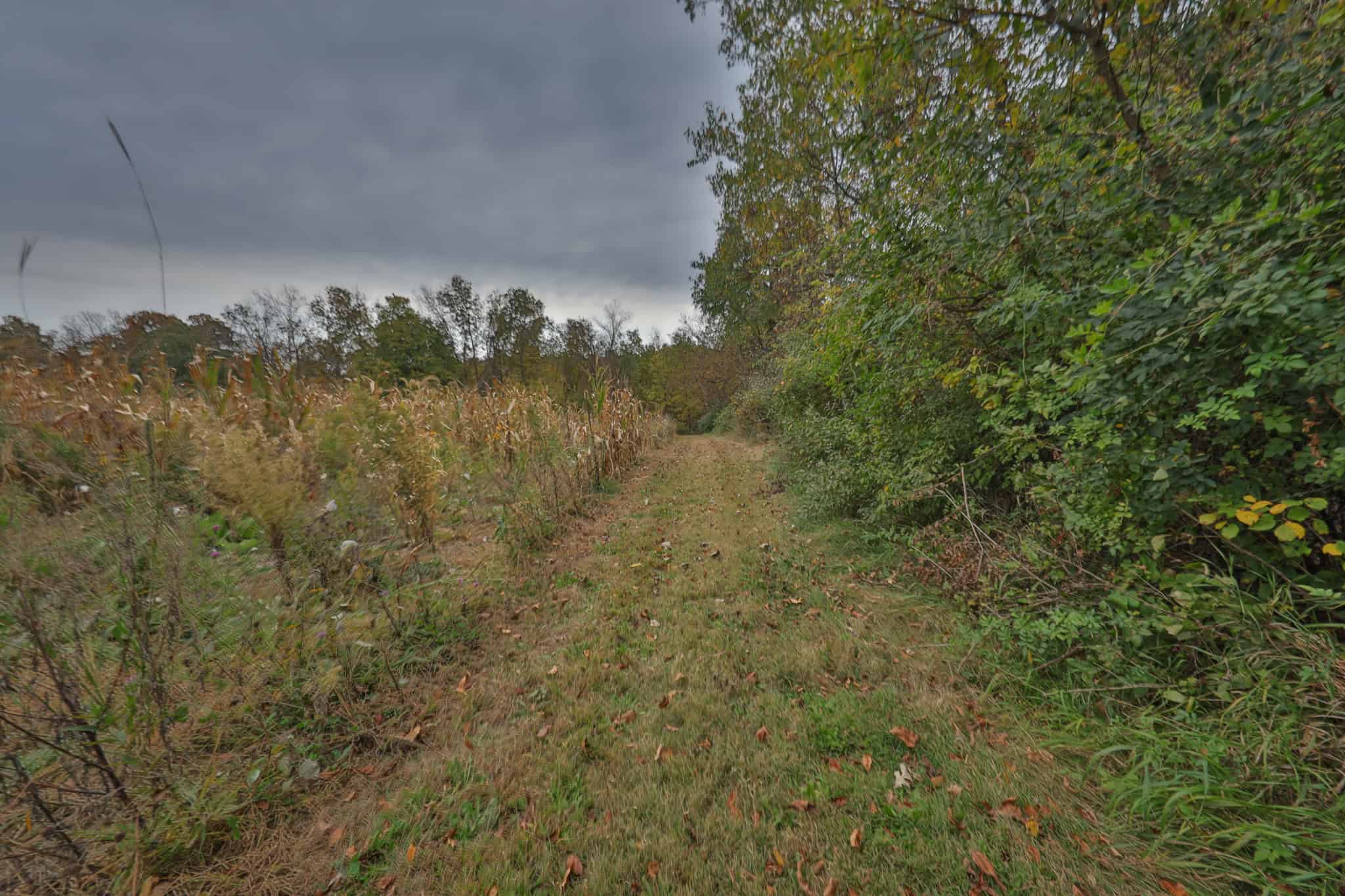 113-Acre Driftless Valley Estate for Sale in Lafayette County, Wisconsin