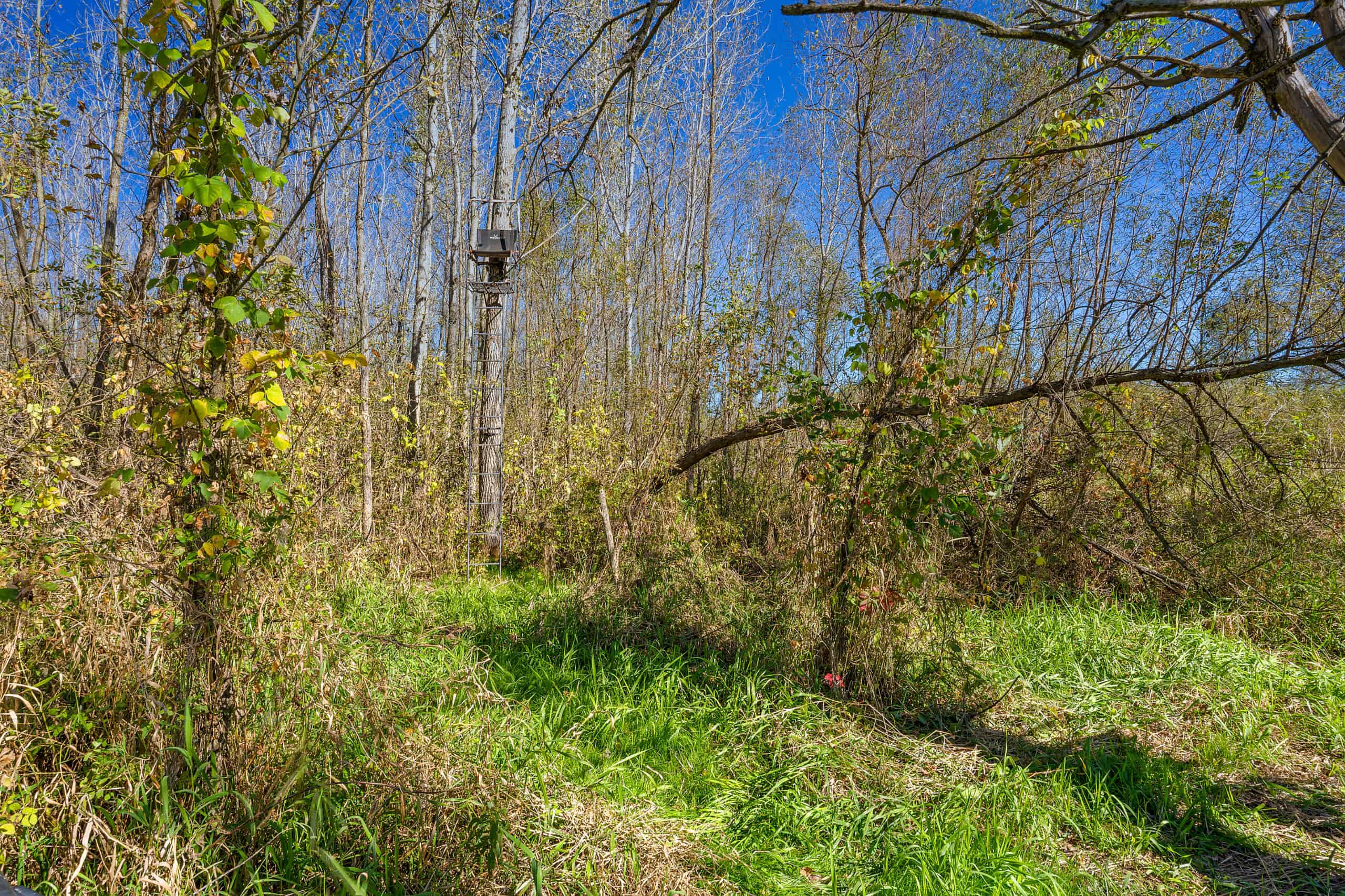 Trempealeau County Riverfront Hunting Land for Sale