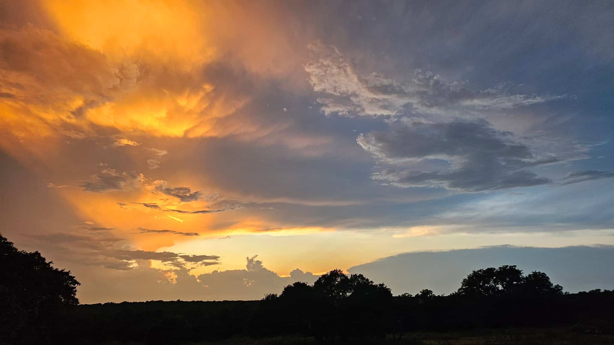 44.574 Acres of Central Texas Hunting Land for Sale