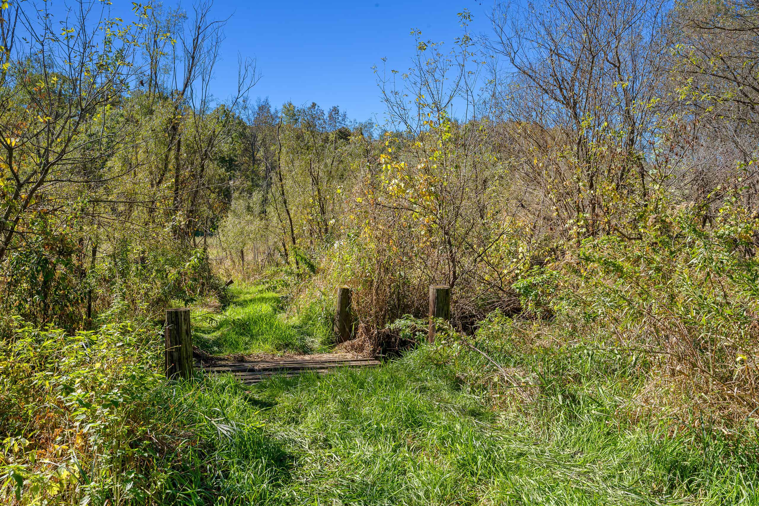 Trempealeau County Riverfront Hunting Land for Sale