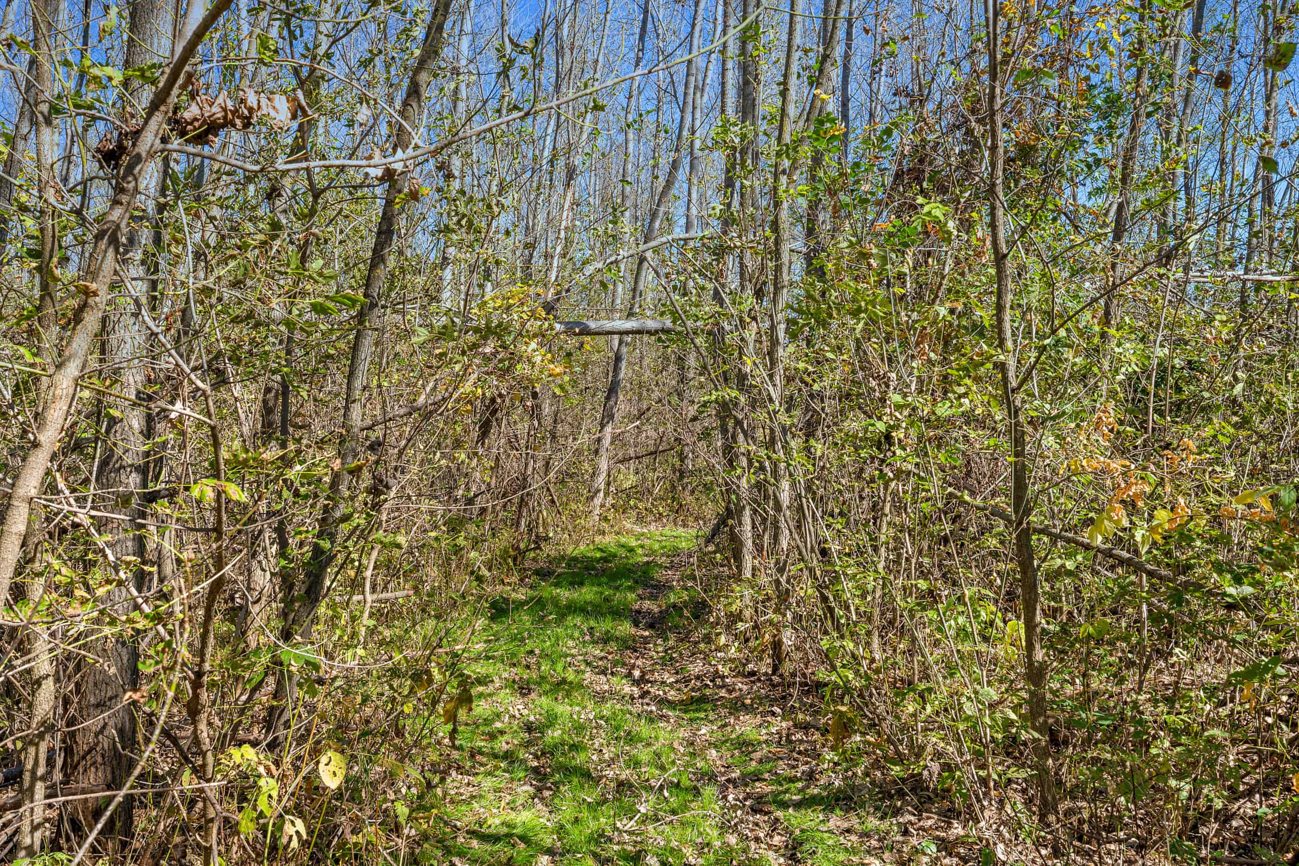Trempealeau County Riverfront Hunting Land for Sale