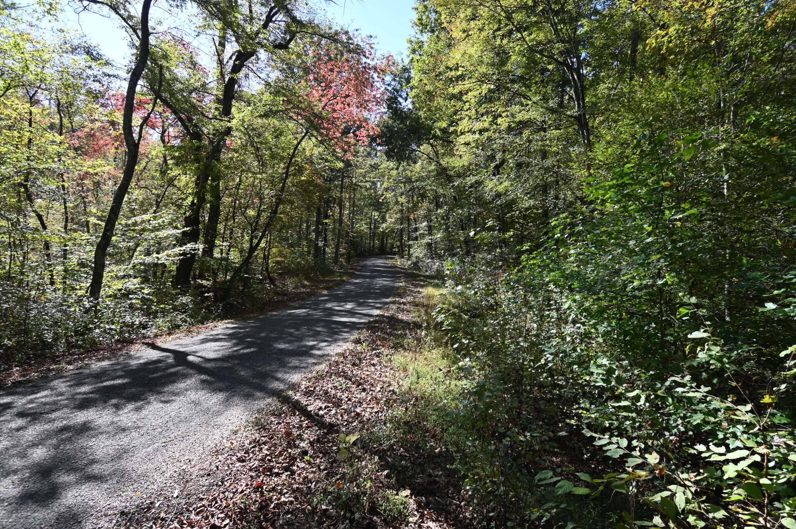 79.49 Acres Hunting and Timberland For Sale in Linden, TN