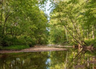 Premier Hunting & Recreation Property in Middleton, TN
