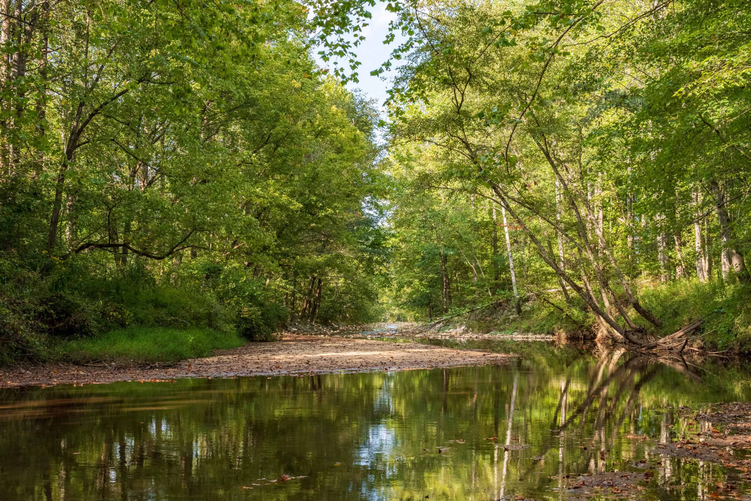 Premier Hunting & Recreation Property in Middleton, TN