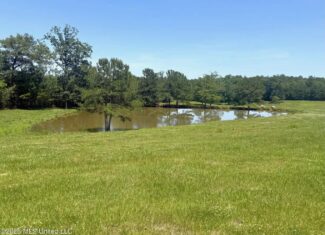 Rolling Hills Pastureland and Wooded land for sale