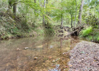 Mississippi Land For Sale With A Creek