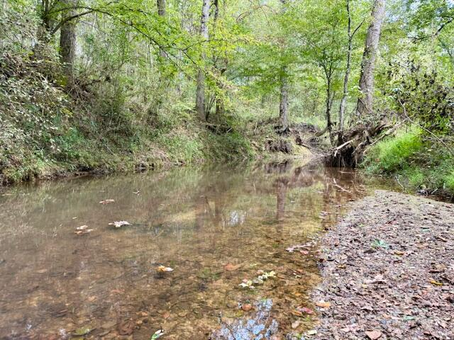 Mississippi Land For Sale With A Creek