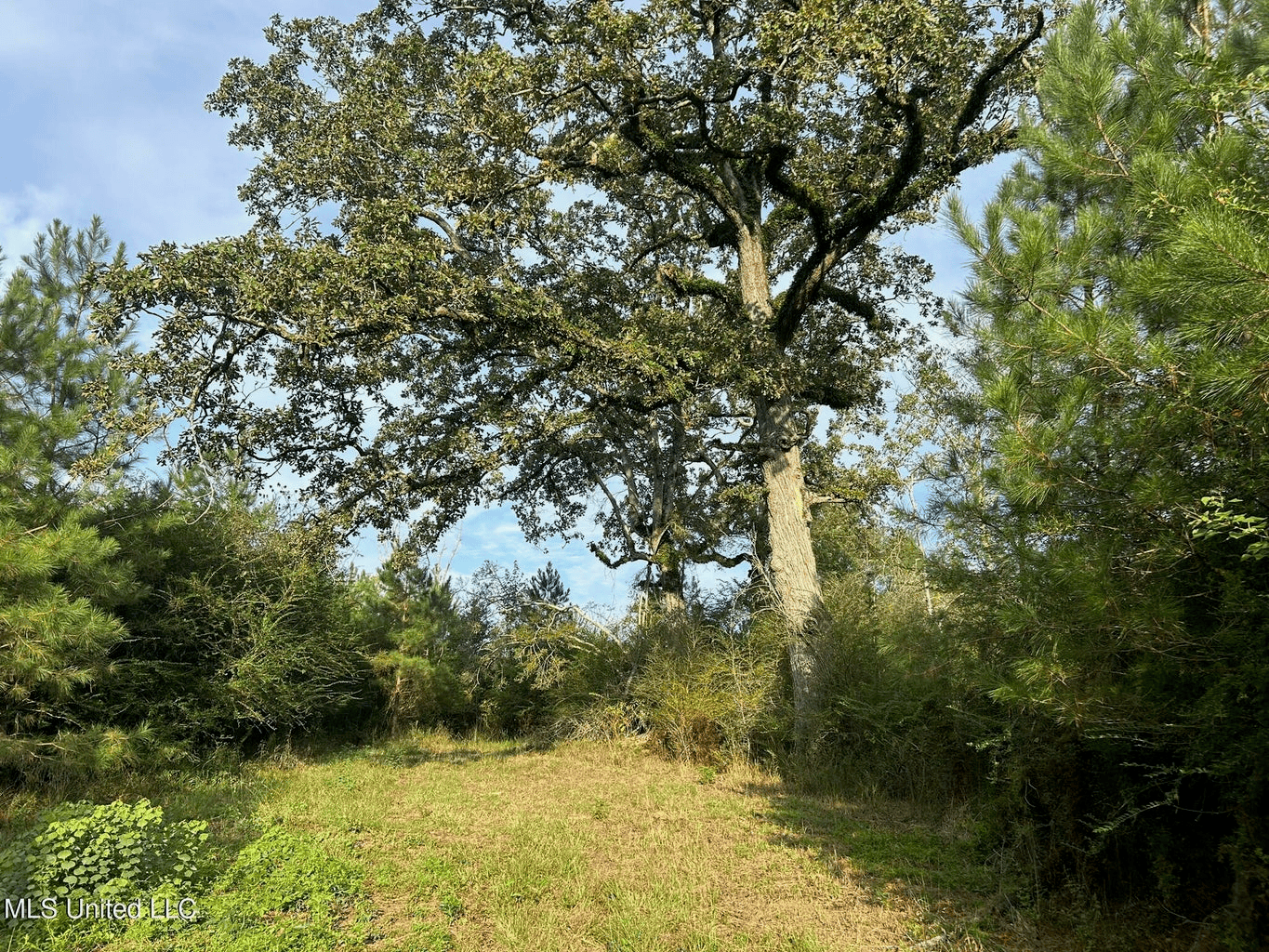 11.5+- Acres North Pike School District