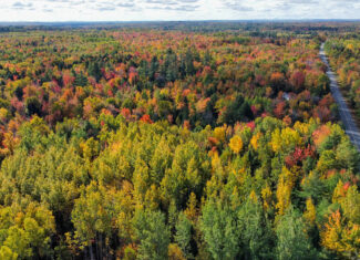 140 Acre Parcel – Bradford, Maine