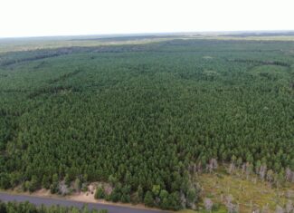 40-acre timber tract in Adams County