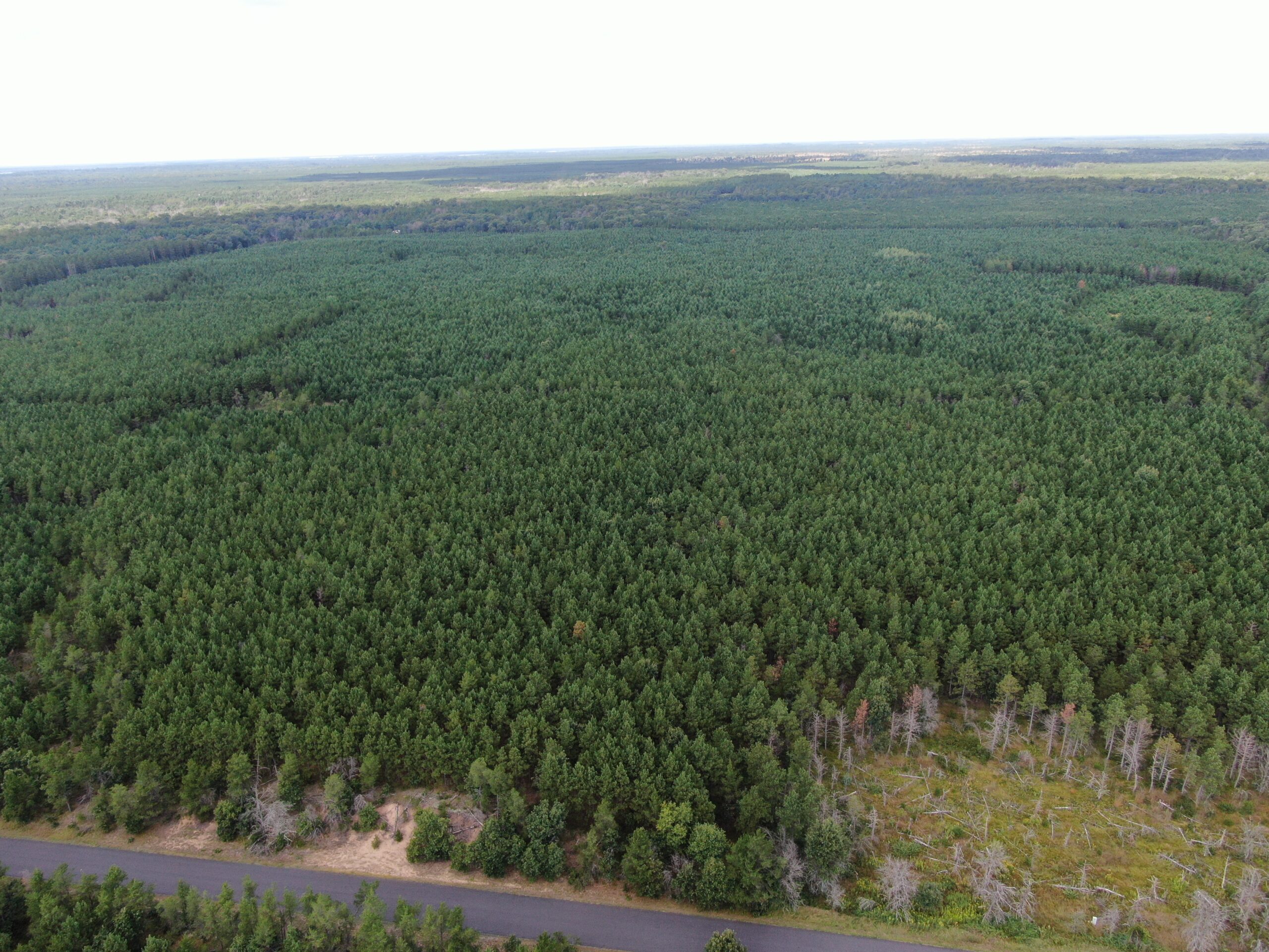 40-acre timber tract in Adams County