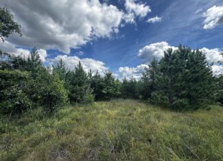 40-acre timber tract in Adams County