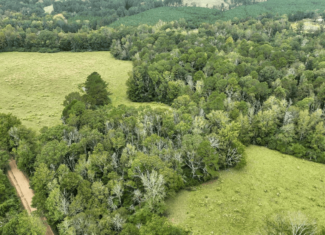 Prentiss MS Pasture Land for sale