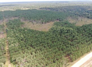80-acre timber tract in Adams County