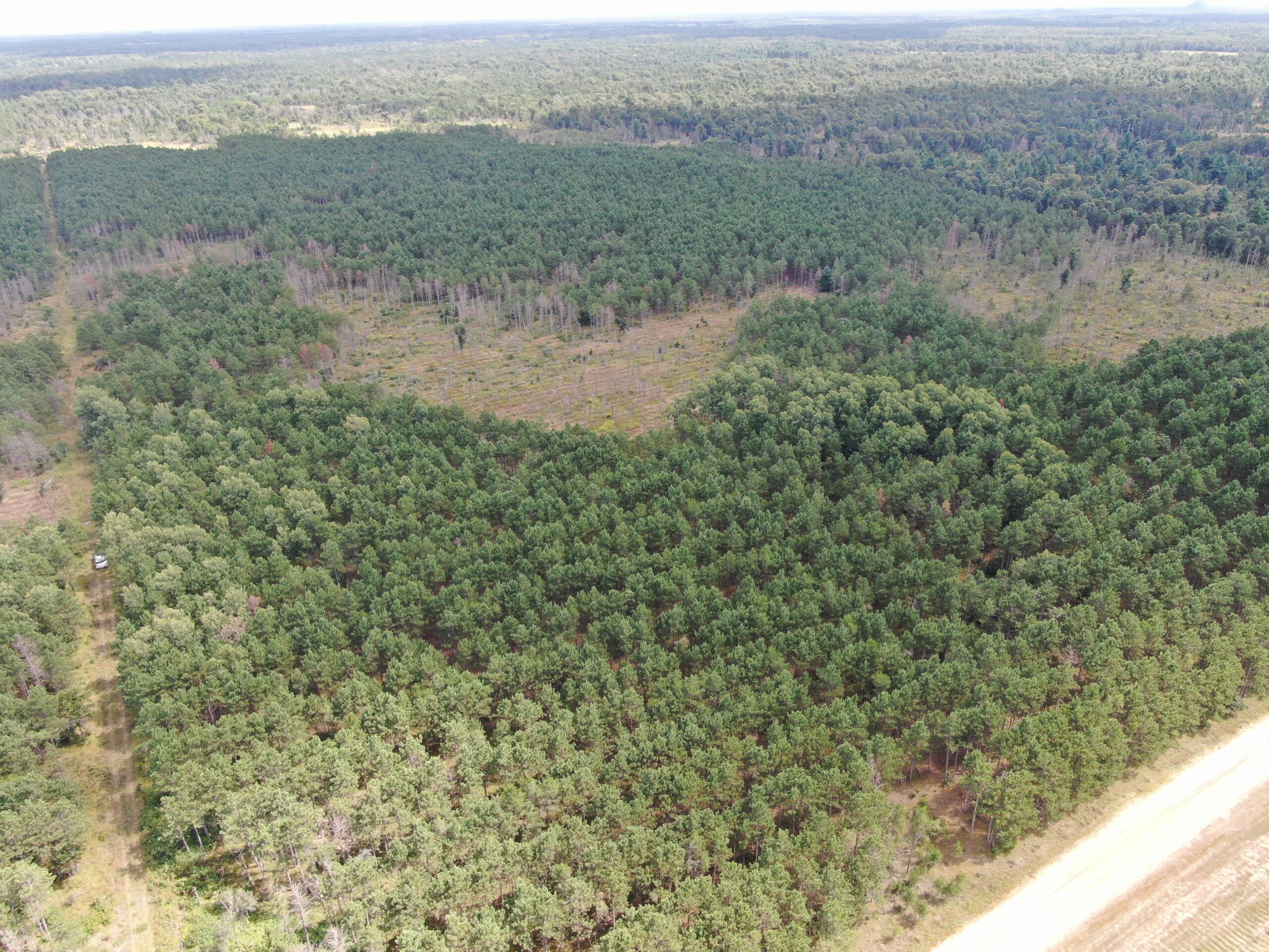 80-acre timber tract in Adams County