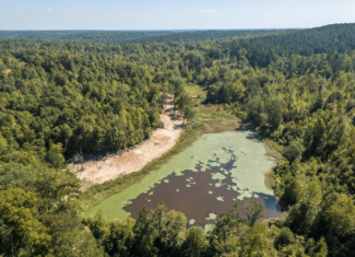 650 Acres Timberland and Lake Site Calhoun County MS