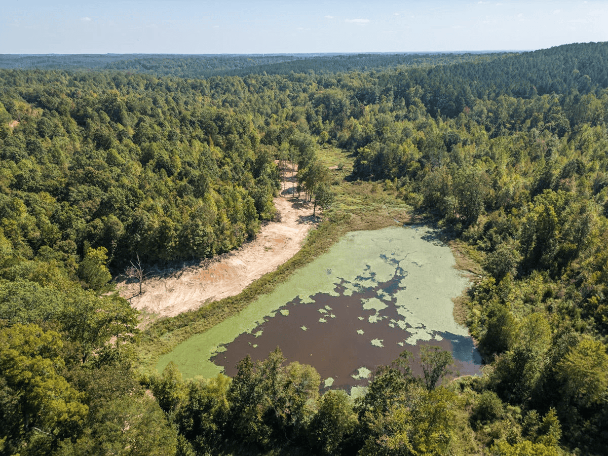 650 Acres Timberland and Lake Site Calhoun County MS