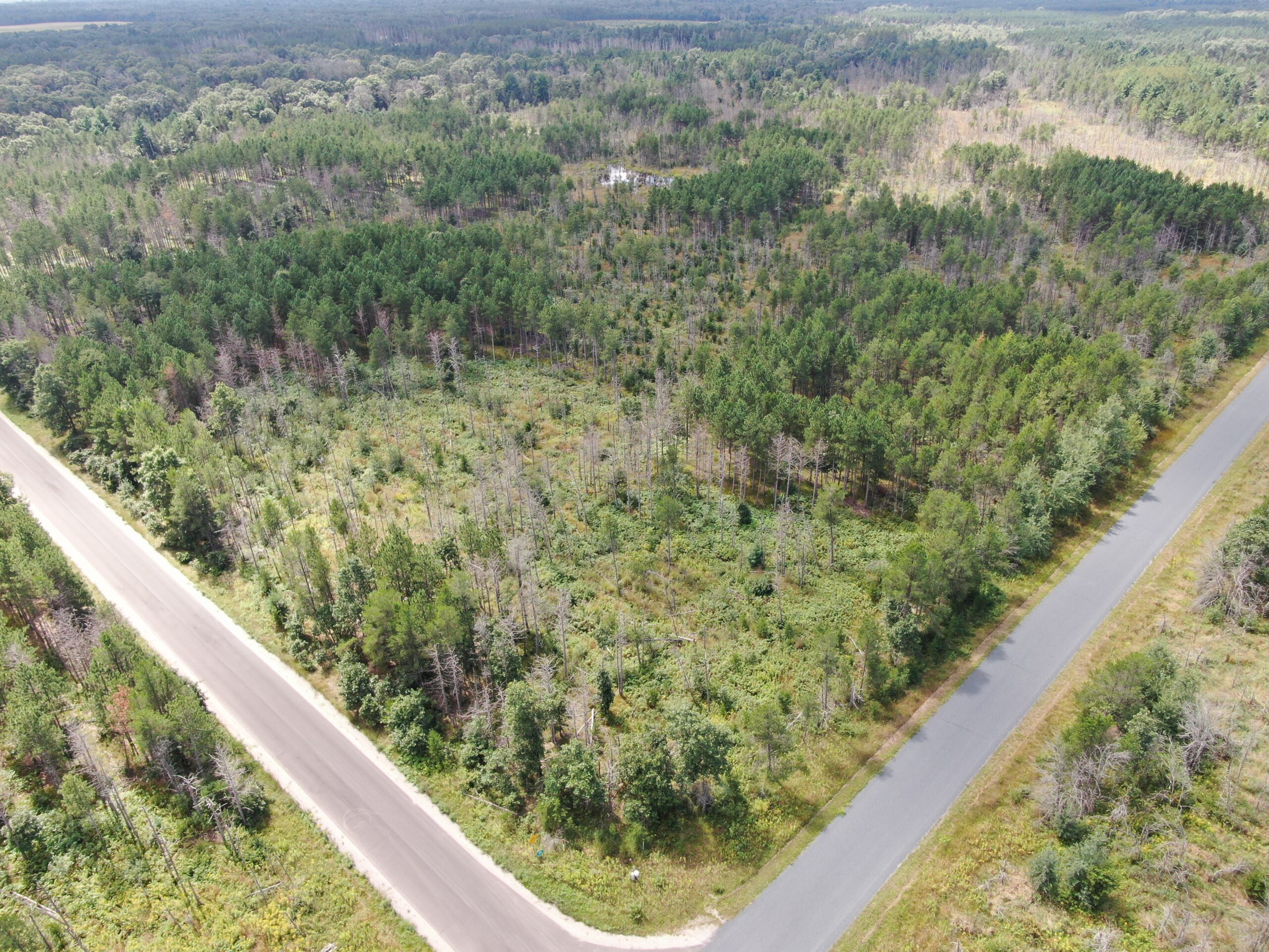 40-acre corner parcel in the Town of Monroe