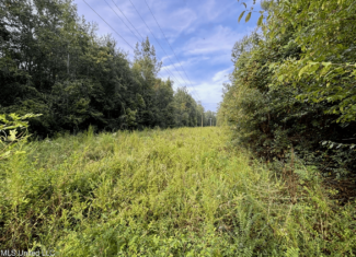 48 Acres for Sale in Jones County, MS Ellisvillle, MS