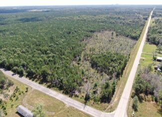 40-acre corner parcel in the Town of Big Flats, Adams County