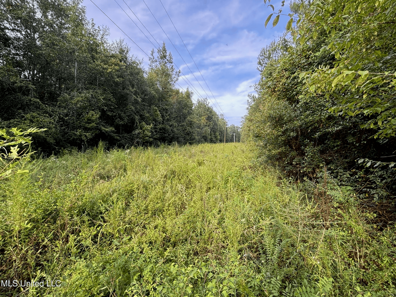 48 Acres for Sale in Jones County, MS Ellisvillle, MS