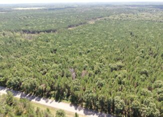 40-acre timbered tract in the Town of Big Flats