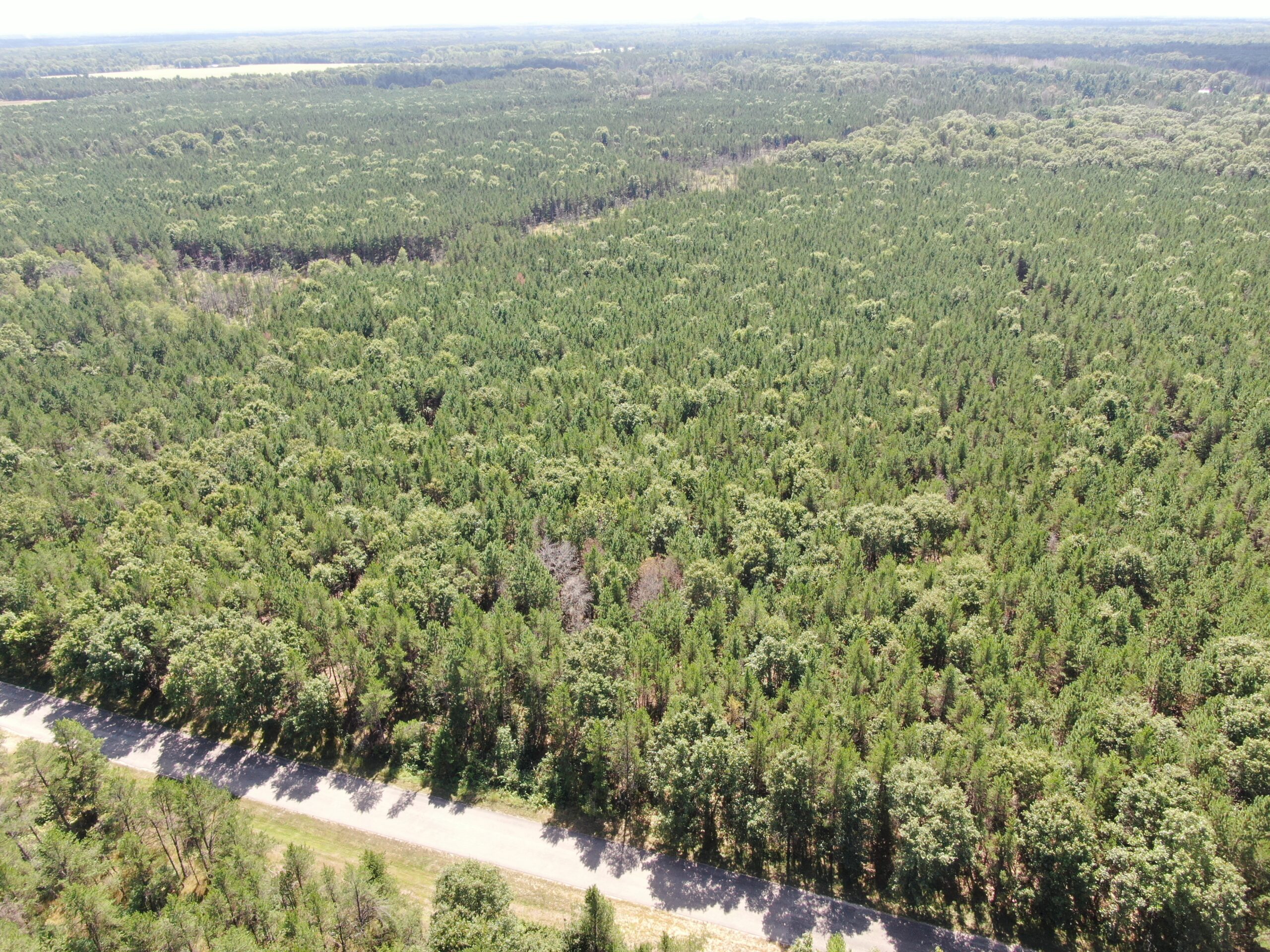 40-acre timbered tract in the Town of Big Flats