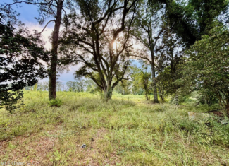 80 Acres in Walthall County