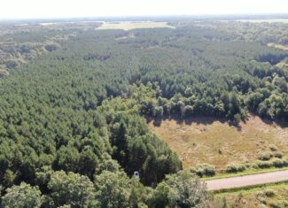 80-acre timber tract in Adams County