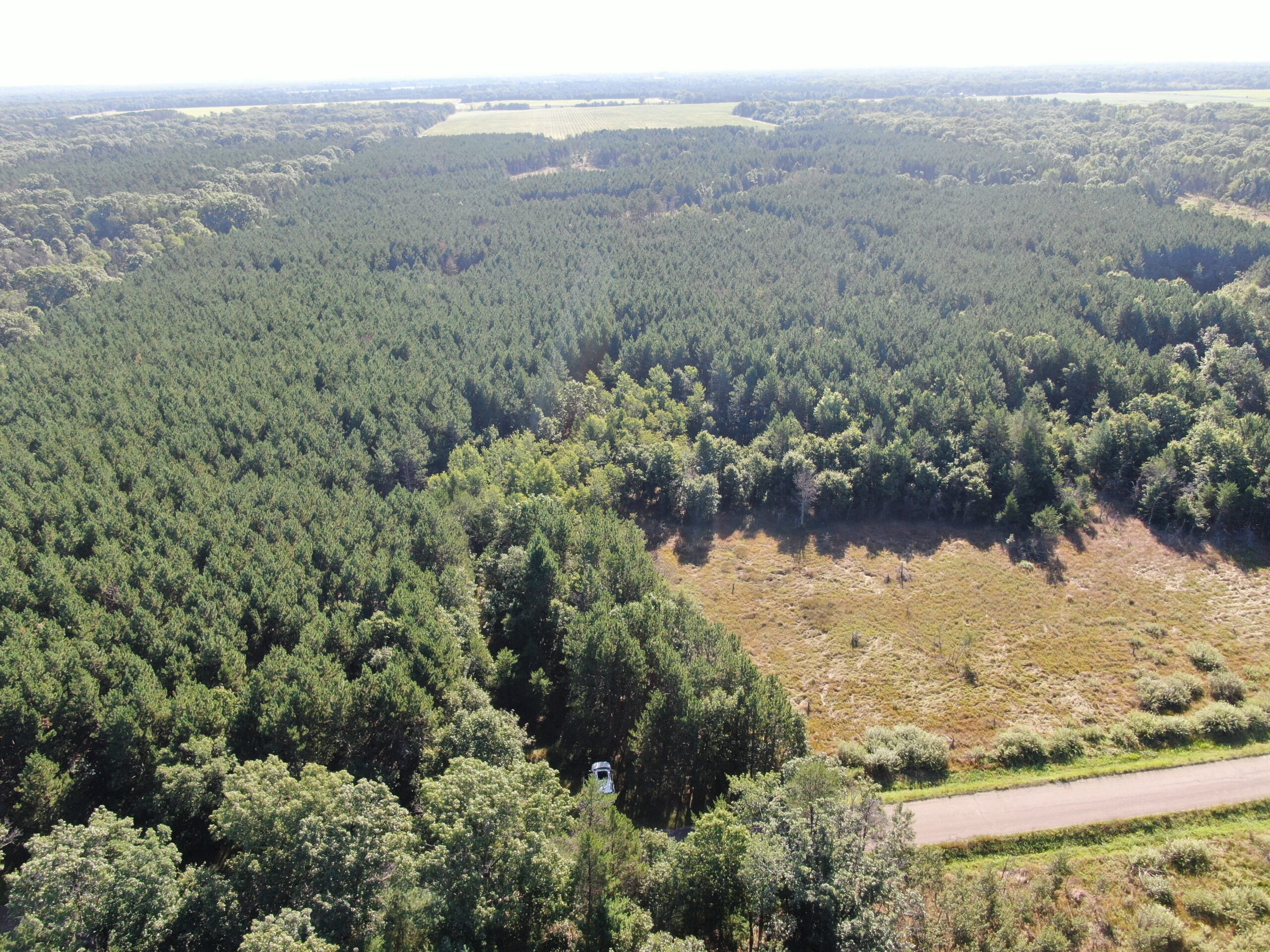 80-acre timber tract in Adams County