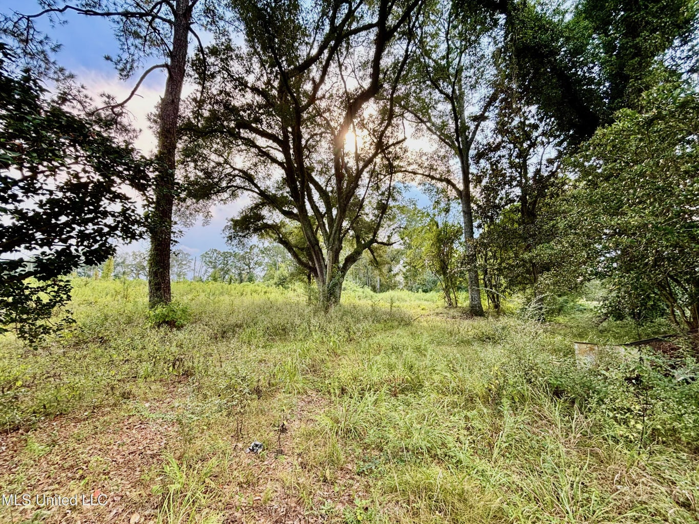 80 Acres in Walthall County
