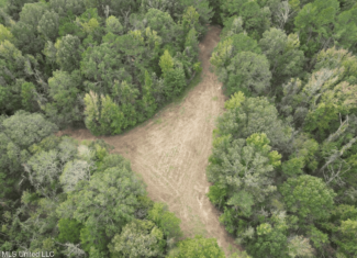 Hunting Land in Claiborne County, MS – The Sawmill 98