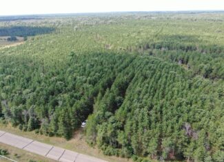 80-acre timber tract in the Town of Big Flats