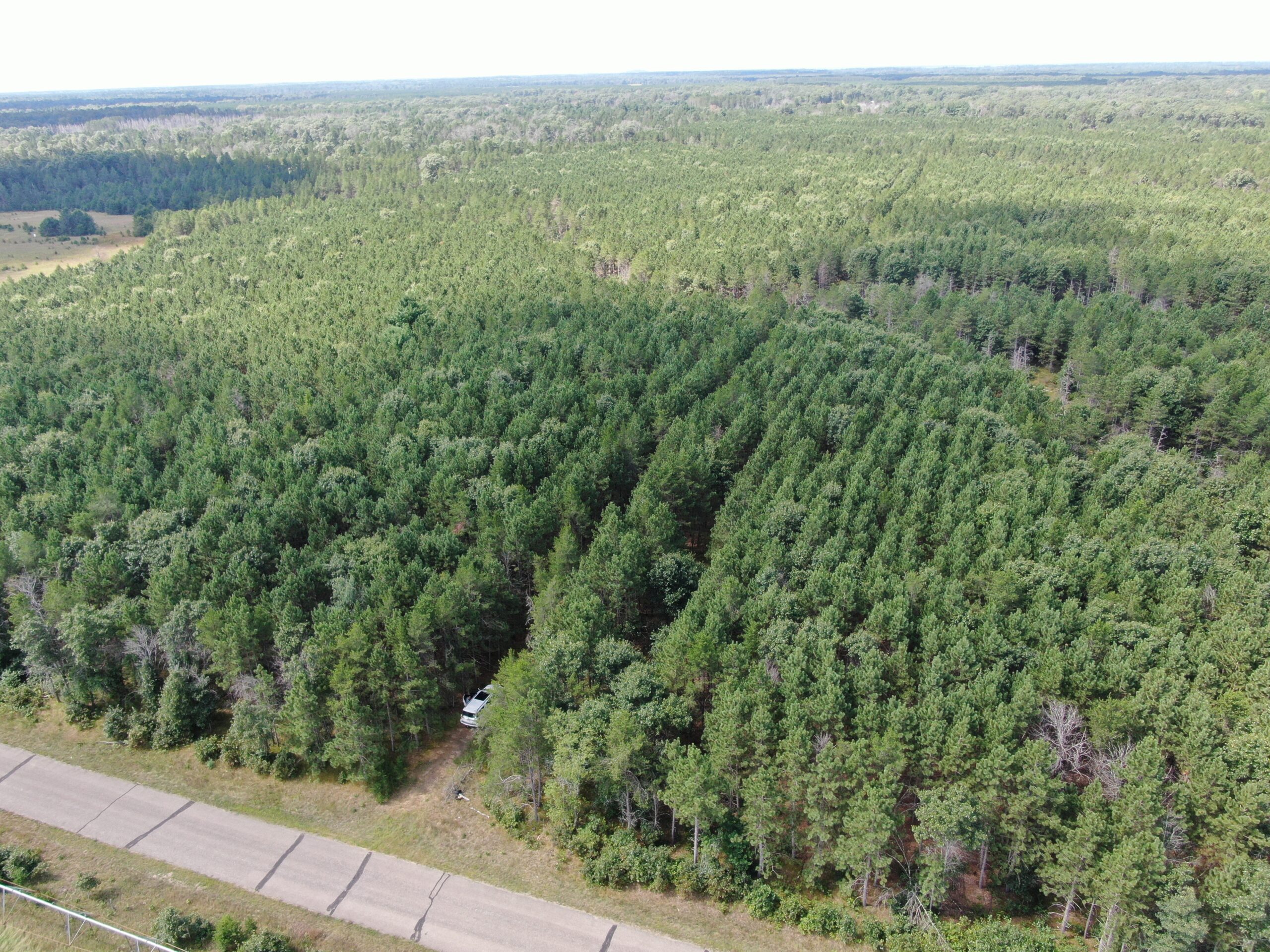 80-acre timber tract in the Town of Big Flats