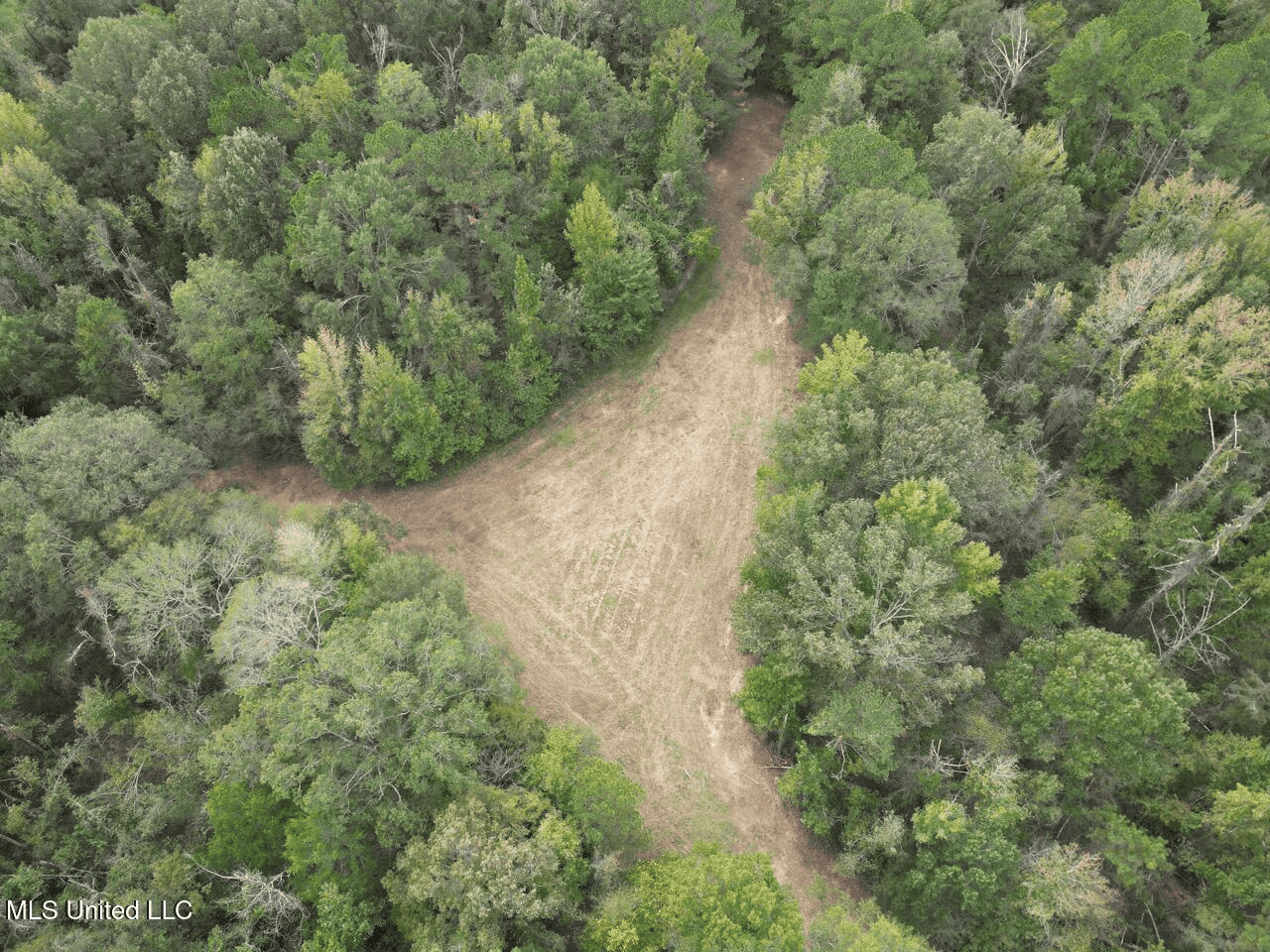 Hunting Land in Claiborne County, MS – The Sawmill 98
