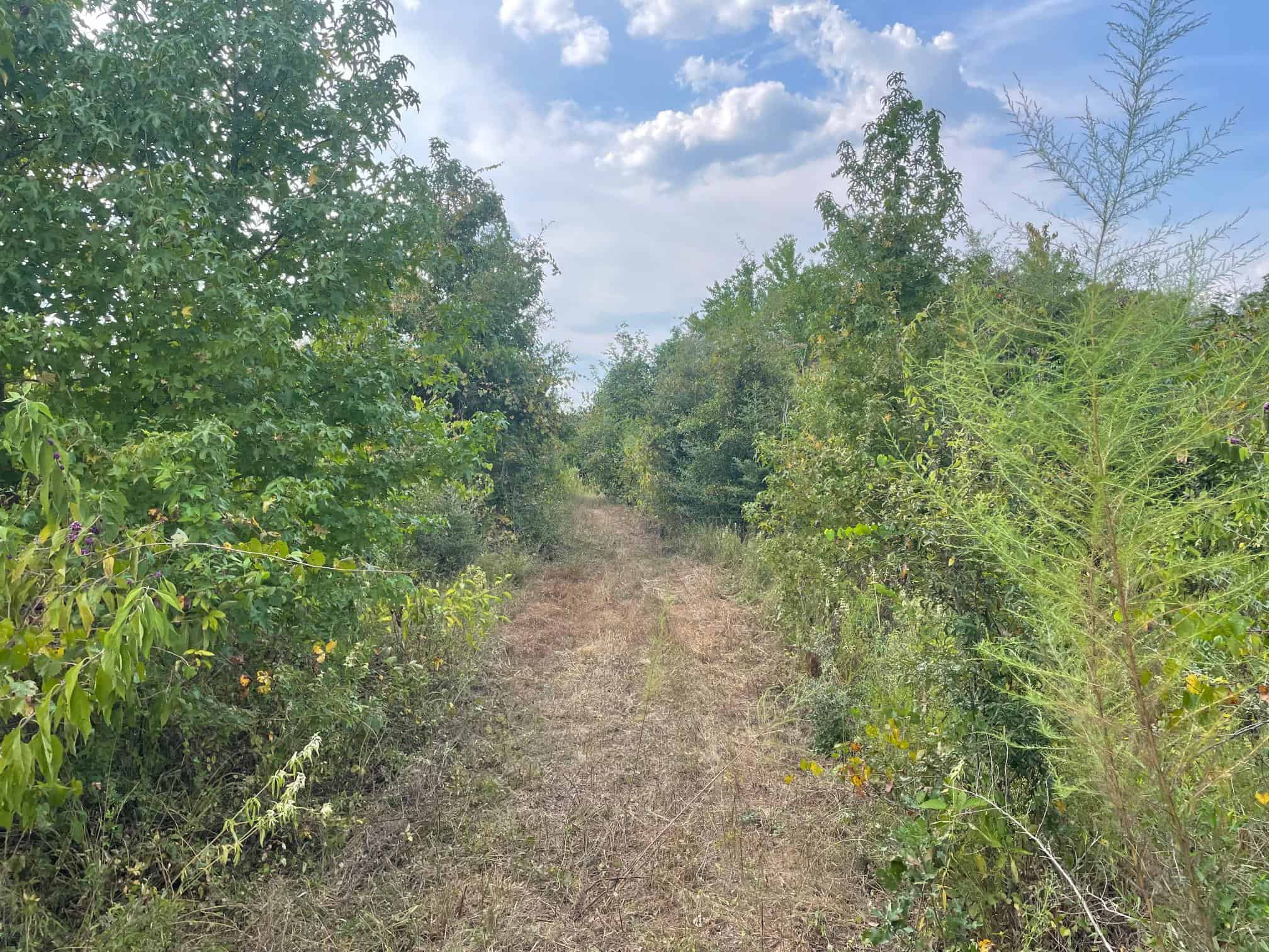 40 Acres Beauregaurd Parish LA