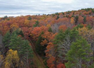 10 Acre Acreage on Quiet Dead End Road