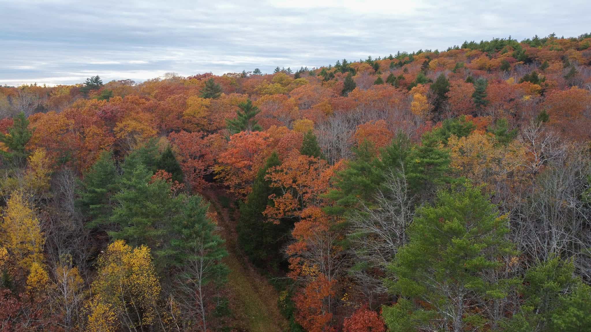 10 Acre Acreage on Quiet Dead End Road