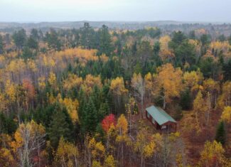 80± Acres Near the Coast – Pembroke, Maine