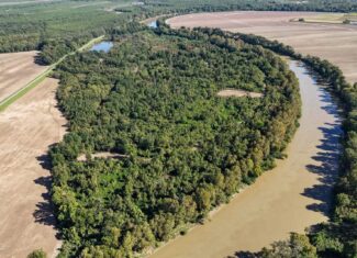 Yazoo River Hunting Tract 78.16 Acres
