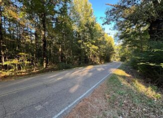 28 Acres for Sale South Jackson, Hinds County, MS