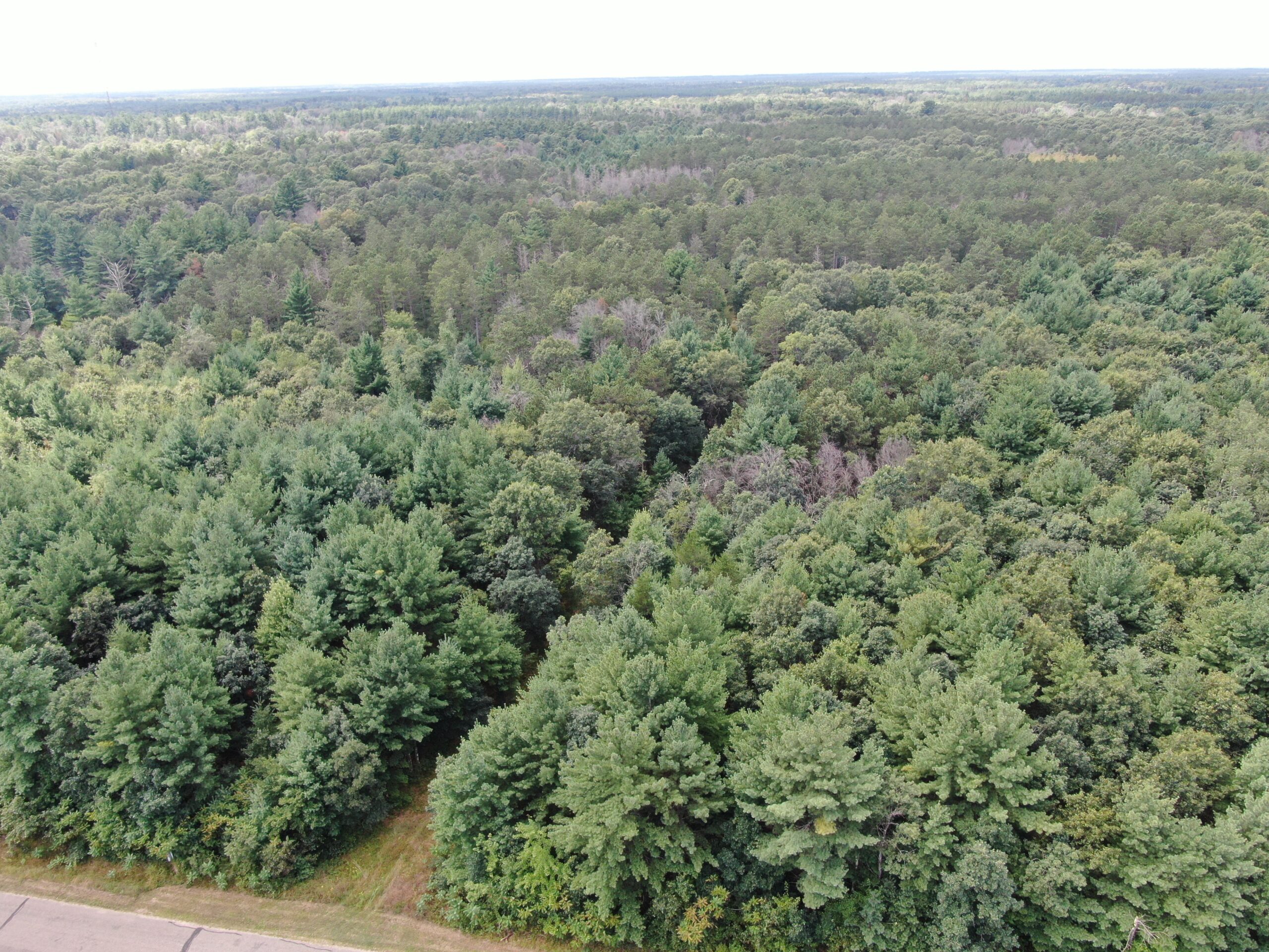 Escape to 80 acres of heavily timbered ground in Adams County