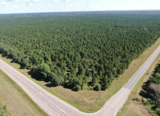 37.77-acre wooded parcel in the Town of Rome
