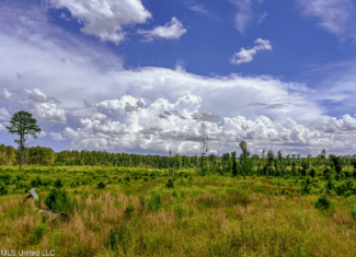 Land for Sale in Amite County, MS