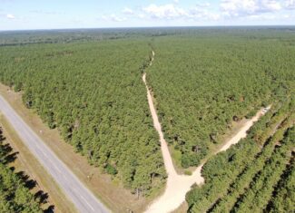 40-acre wooded parcel in the Town of Rome