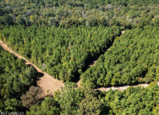 203 Acres in Smithdale MS – Turnkey Hunting Retreat