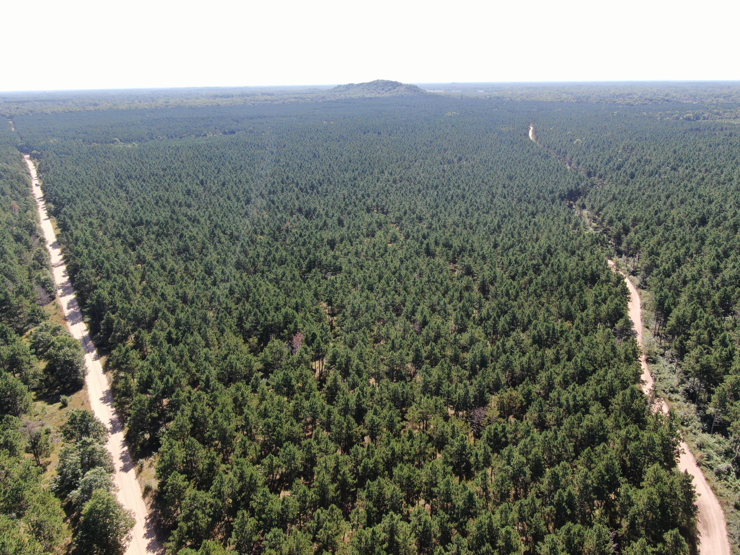 77-acre timber tract in the Town of Rome
