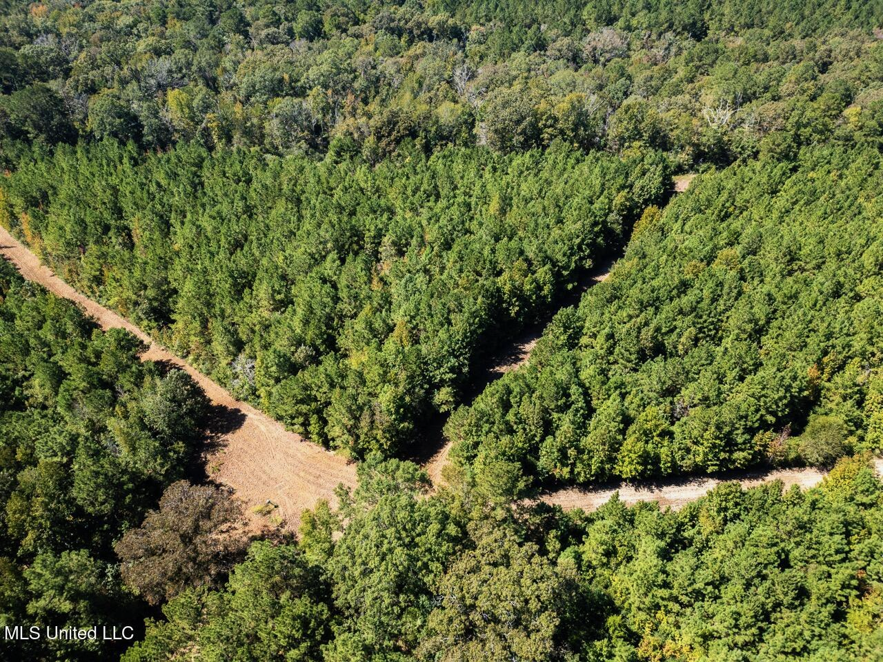 203 Acres in Smithdale MS – Turnkey Hunting Retreat